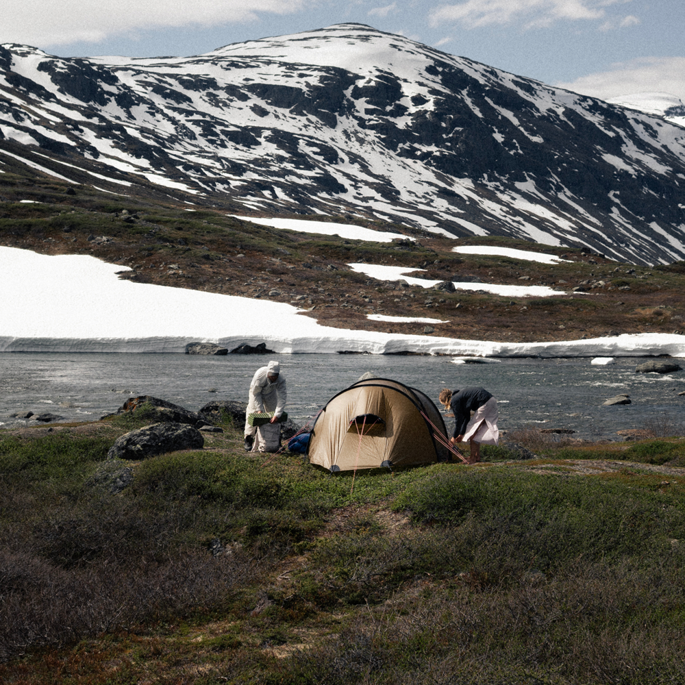Artic Summer